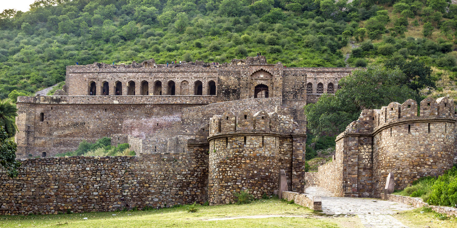 Sariska Tiger Camp experience